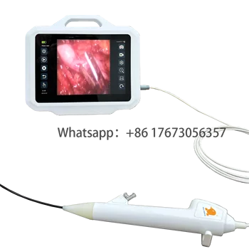 Медицински за еднократна употреба гъвкав видеоуретероскоп Mole за възрастни и деца Еднократна уроскоп