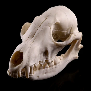 Реалистични костите на Черепа на главата си Модел на скелета от смола Подпори за Хелоуин Ужасни аксесоари за Декорация на дома