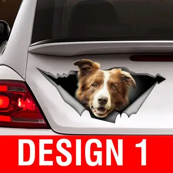 СТИКЕР / Кафяво-бял стикер за автомобил collie, стикер за автомобил с кучето, украса на автомобил, стикер за домашни любимци